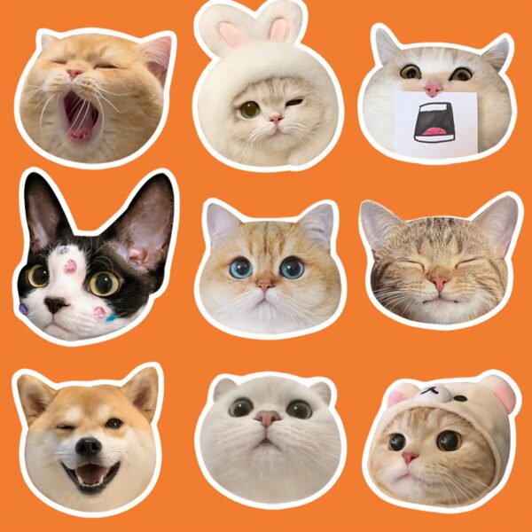 1pc Personalized Pet Photo Acrylic Refrigerator Magnet - Custom Octagonal Fridge Magnet with Strong Magnet for Cat & Dog Pictures - Unique Keepsake for Pet Owners - Versatile Decor for Christmas, Halloween, Easter, Hanukkah, Valentine'S Day